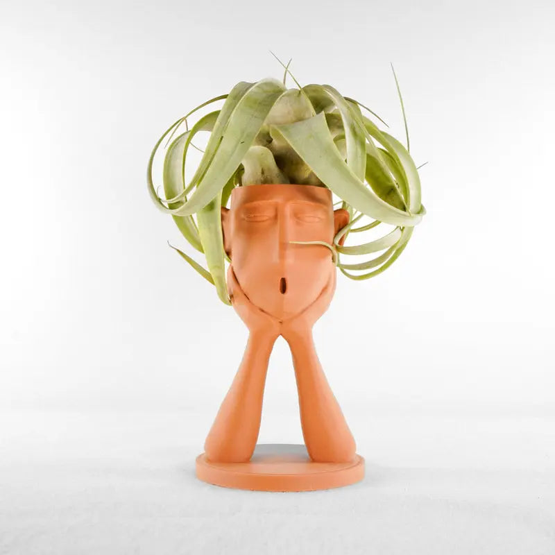 Stonehenge “Oops” Air Head Planter - Home & Garden